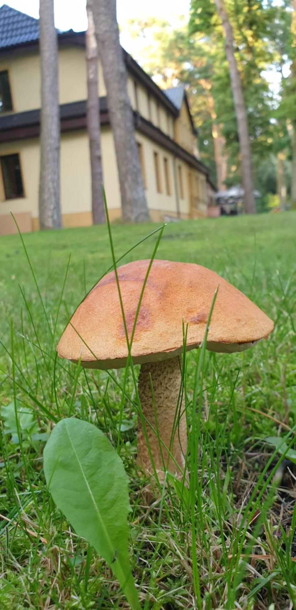 Villa Toskana Pogorzelica (Gmina Rewal) Exterior foto