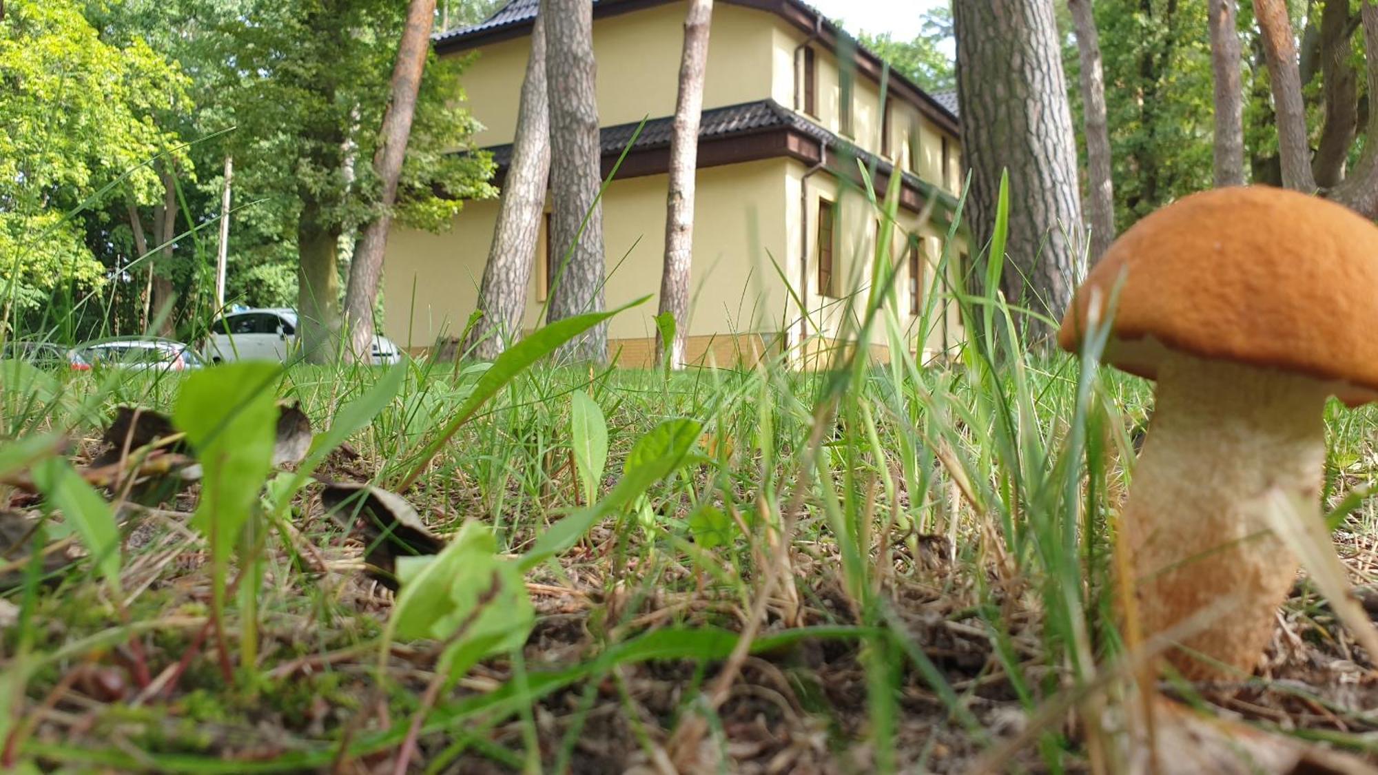 Villa Toskana Pogorzelica (Gmina Rewal) Exterior foto